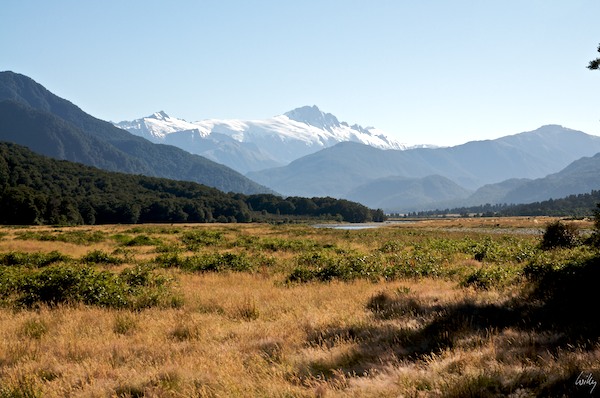 New Zealand 09 10  170